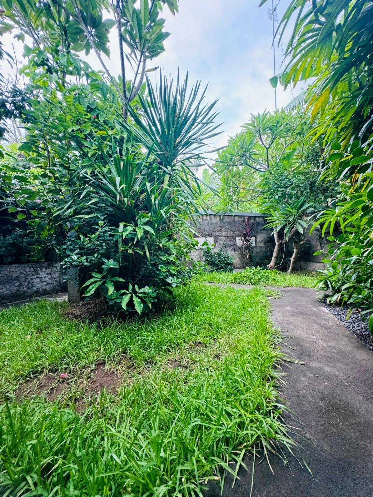 Putu Guest House Pemuteran Exteriér fotografie